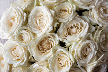 Close-up shot of white roses. isolated close-up of a huge bouquet of white roses. Group of white roses, wedding decorations