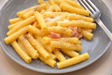 pasta rigatoni alla carbonara tradizionale piatto italiano con uova pancetta e formaggio pecorino