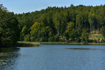 Colorful forest view on the Ostrzyckie lake, Kashubian Landscape Park, Poland. Summer time. 