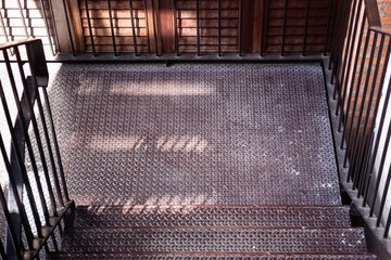 Green plants feel fresh surroundings, stock photo
