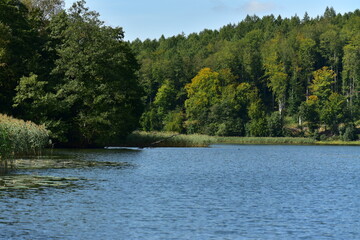 Forest view on the Ostrzyckie lake, Kashubian Landscape Park, Poland. 