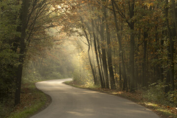 Jesienna droga © KrzysztofAleksander