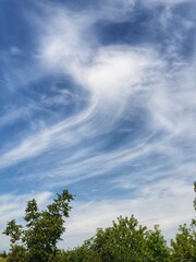 Obraz premium clouds over the forest
