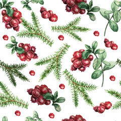 Lingonberry berries. Winter holidays. Hand-drawn watercolor pattern. Bright beautiful print, textile, background. forest. Cotton, snowberry, spruce, pine, branches and cones. Seamless pattern 