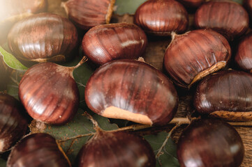 Wallpaper close up fill the frame with chestnuts. Abundance, seasonal food, autumn concept.