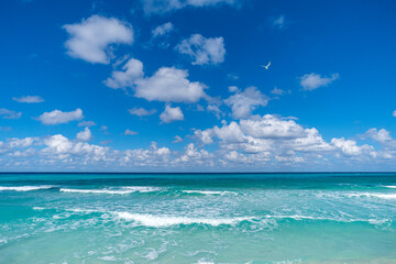 Beautiful tropical landscape with turquoise ocean. Horizon line on the background. endless clear...