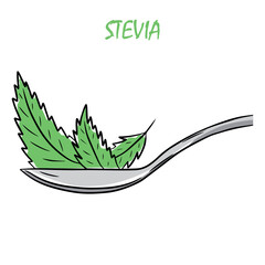 Spoon and stevia leaves. Hand drawn vector illustration, isolated on a white background.