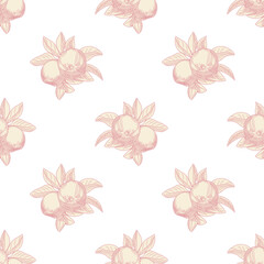 Pink apples seamless pattern on white background. Vintage botanical wallpaper.