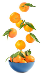 Set of fresh ripe tangerines falling into bowl on white background
