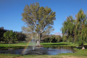 Fototapeta na wymiar The fountain and trees