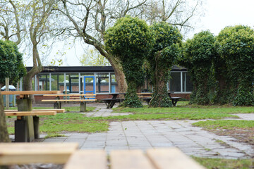 Trees and benches at a school yard