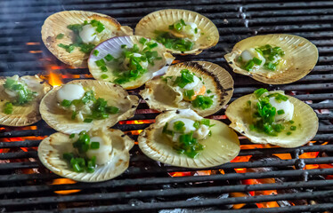 oysters grilled seafood scallop food background