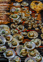 scallop food raw background seashell clams fish meat oyster