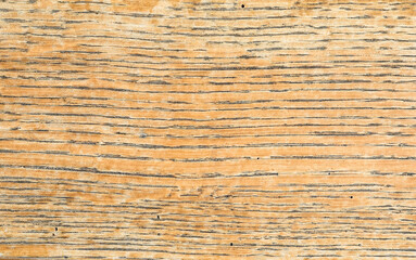 Old wooden board with transparent peeling paint