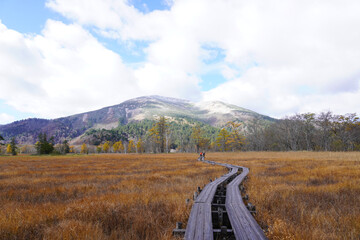 尾瀬ヶ原の木道と草紅葉の紅葉 © 石海 美紗
