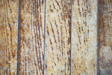 Tree bark background. Wooden texture for overlay.