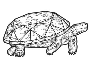 Turtle with a diamond. Engraving vector illustration. Sketch scratch board imitation.