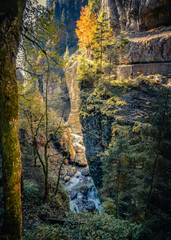 Wandern in der Herbstsonne in der Breitachklamm in Oberstdorf, wunderbare Herbstfarben