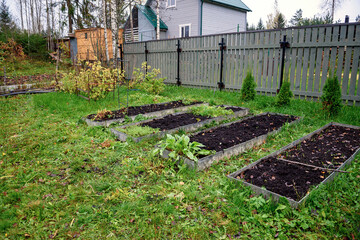 Vegetable beds in autumn, preparation for winter holidays. Garden, cottage.