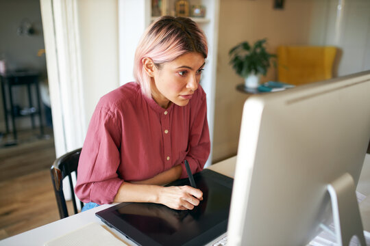 Young woman freelancer with pinkish hair retouching images using digital tablet and stylus, having concentrated look, working under deadline pressure. Stylish graphic designer doing illustration