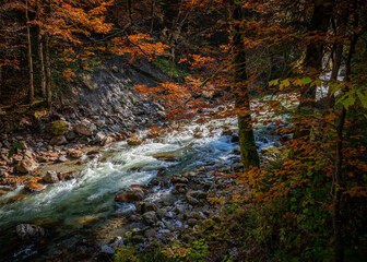 Wandern in der Herbstsonne in der Breitachklamm in Oberstdorf, wunderbare Herbstfarben
