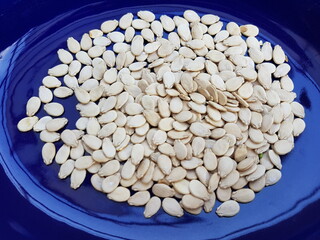 watermelon kernels, seed
