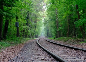 deserted railroad tracks in the forest - 389030646