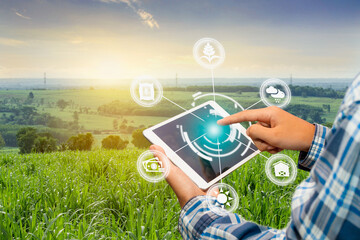 Innovation technology for smart farm system, Agriculture management, Hand holding smartphone with smart technology concept. asian male farmer working in Sugarcane farm To collect data to study. - obrazy, fototapety, plakaty
