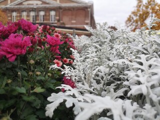 nature in two seasons