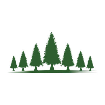 Cedar tree vector icon illustration design template