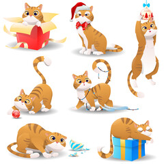 Cute cat for Christmas and New Year