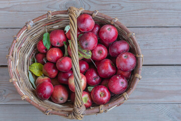 basket of red apples