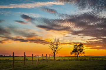 beautiful colorful sky setting sun over fields and trees