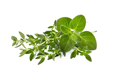 Oregano or marjoram leaves with thyme isolated on white background.