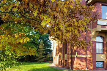 Brick building in the Park near trees with yellow autumn foliage