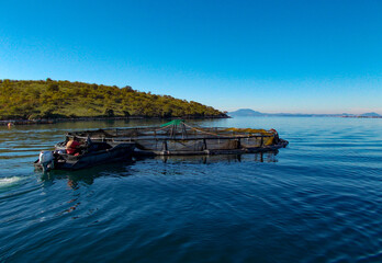 Fototapeta na wymiar man working on fish farm with ponds nets boats at sea with mountain background