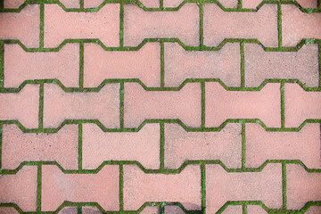 Texture of paving stones with moss, top view. Faded red paving stone background, close up