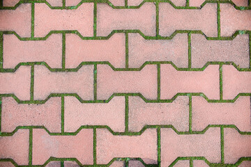 Texture of paving stones with moss, top view. Faded red paving stone background, close up