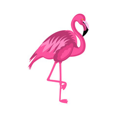 Cute pink flamingo isolated on white background vector illustration