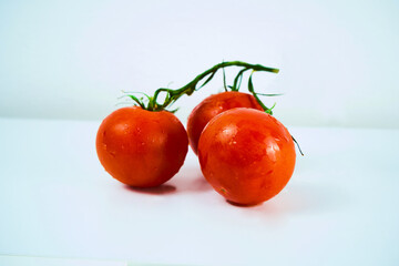 Tomatoes. Tomato branch. Tomatoes isolated on white. With clipping path. Full depth of field.
