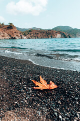 Fototapeta na wymiar Autumn on the Mediterranean coast of Turkey. Warm, blue sea, rocky beach. Orange leaf lies on the beach. Landscapes of the Lycian Trail.