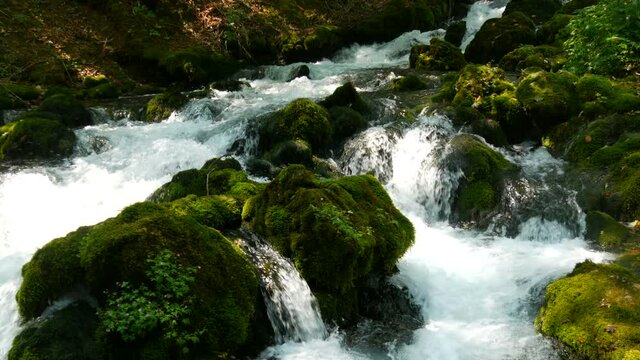 Insanely beautiful picturesque Mountain river Bistrica in Montenegro flows over stone boulders covered with green moss.