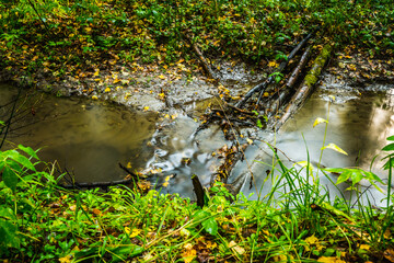 Long exposure shot of small river in the green summer forest. Long Exposure.