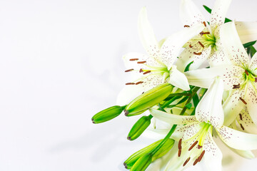 A bouquet of white Lily flowers on a white background. Holiday bouquet