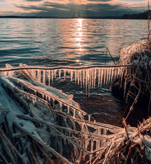 Icicles on the grass and branches with lake in the background. Wave actions create splashes and spray with the water droplets create icicles.