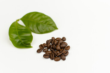 coffee beans and green leaves