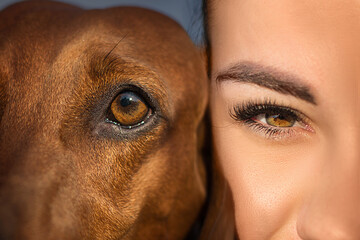 Wiener dog with owner close up eyes