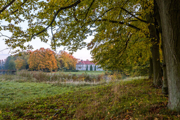 Obraz premium Autumn trees alley with colorful leaves in the park