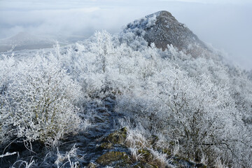 Winter in Central Bohemian Uplands, Czech Republic. Frozen landscape. Central Bohemian Highlands. Frozen flora. Winter season in Czechia. Misty morning. 