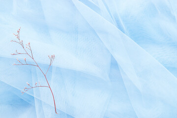 Creative background of blue tulle and a sprig of dry plant on it. Abstract texture.